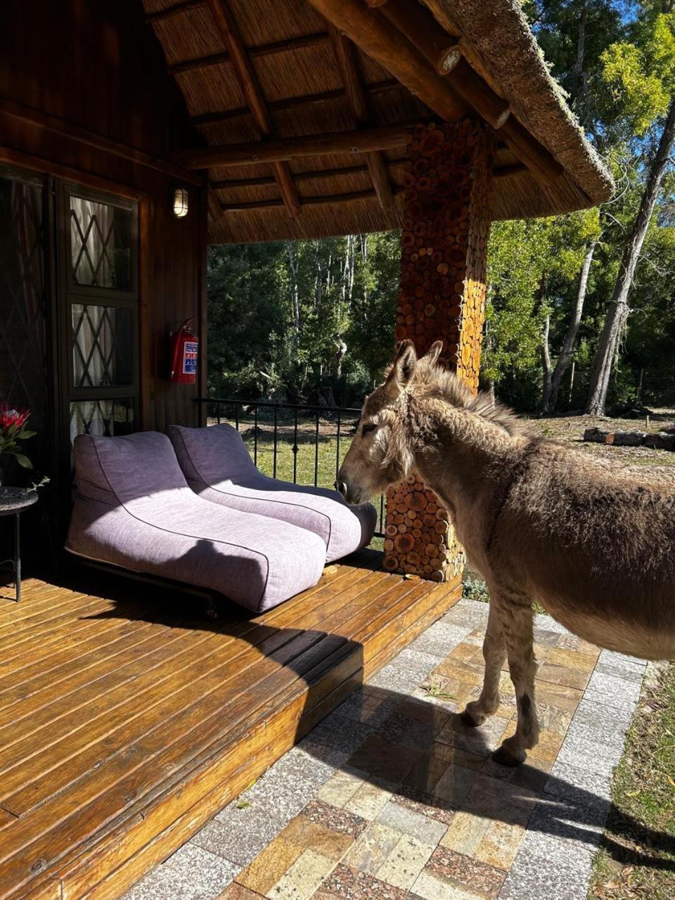 プレッテンバーグ・ベイ Shabby Fufu Lifestyle Farmヴィラ エクステリア 写真